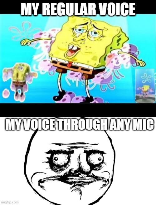 voice crack | MY REGULAR VOICE; MY VOICE THROUGH ANY MIC | image tagged in mic | made w/ Imgflip meme maker