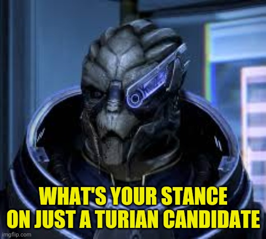 garrus | WHAT'S YOUR STANCE ON JUST A TURIAN CANDIDATE | image tagged in garrus | made w/ Imgflip meme maker