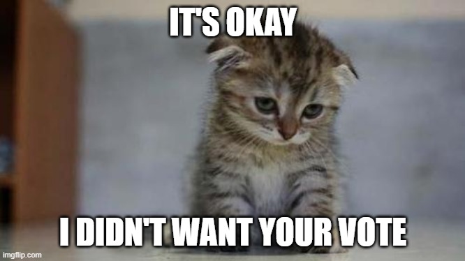 Sad kitten | IT'S OKAY; I DIDN'T WANT YOUR VOTE | image tagged in sad kitten | made w/ Imgflip meme maker