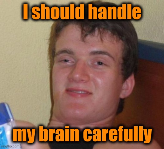 10 Guy Meme | I should handle my brain carefully | image tagged in memes,10 guy | made w/ Imgflip meme maker