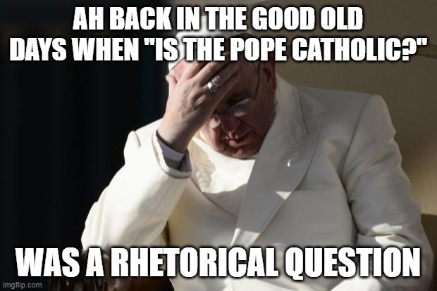 While I'll always respect the chair of St. Peter, donating money to "unemployed prostitutes" was a little far | AH BACK IN THE GOOD OLD DAYS WHEN "IS THE POPE CATHOLIC?"; WAS A RHETORICAL QUESTION | image tagged in pope francis facepalm | made w/ Imgflip meme maker