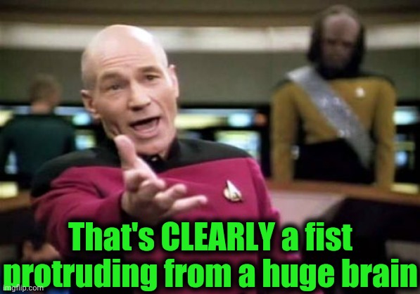 Picard Wtf Meme | That's CLEARLY a fist protruding from a huge brain | image tagged in memes,picard wtf | made w/ Imgflip meme maker