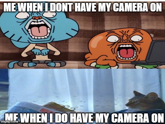 funny vid chat memes | ME WHEN I DONT HAVE MY CAMERA ON; ME WHEN I DO HAVE MY CAMERA ON | image tagged in quarantine | made w/ Imgflip meme maker
