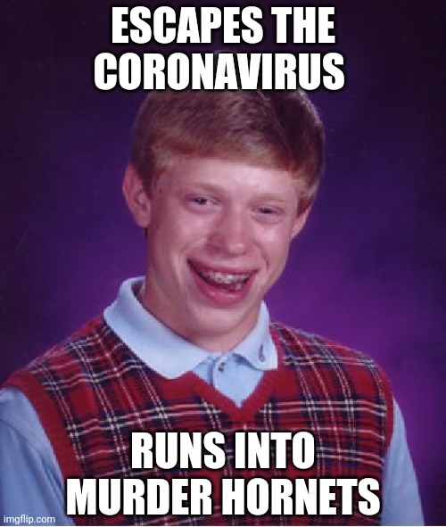 2020: The Year of Brian | ESCAPES THE CORONAVIRUS; RUNS INTO MURDER HORNETS | image tagged in memes,bad luck brian | made w/ Imgflip meme maker