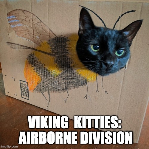 VIKING  KITTIES:  AIRBORNE DIVISION | made w/ Imgflip meme maker