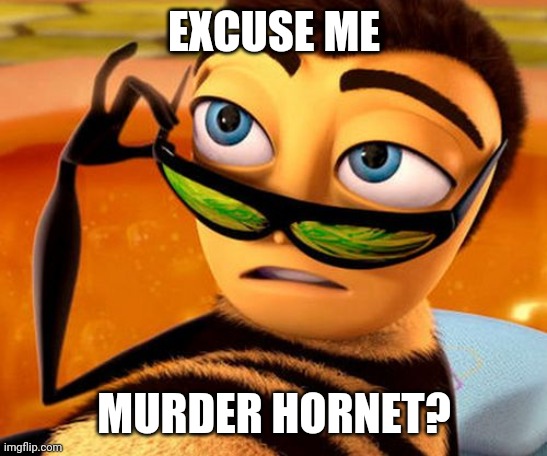 Bee movie | EXCUSE ME; MURDER HORNET? | image tagged in bee movie,murder hornet,beer,insects,2020 | made w/ Imgflip meme maker