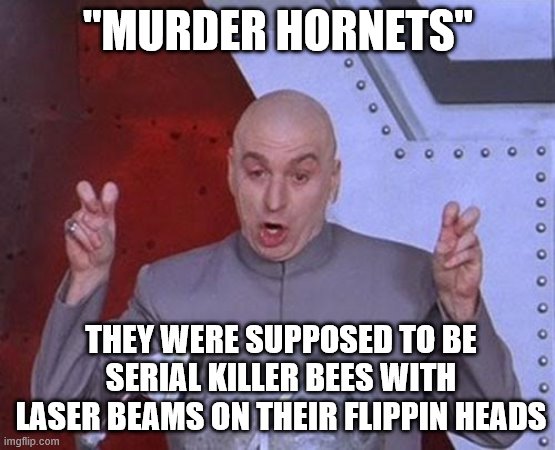 Dr Evil Laser | "MURDER HORNETS"; THEY WERE SUPPOSED TO BE SERIAL KILLER BEES WITH LASER BEAMS ON THEIR FLIPPIN HEADS | image tagged in memes,dr evil laser | made w/ Imgflip meme maker