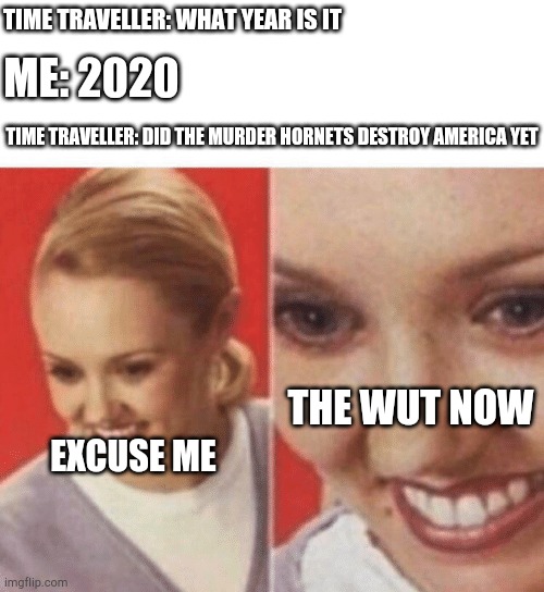 Muder hornet | TIME TRAVELLER: WHAT YEAR IS IT; ME: 2020; TIME TRAVELLER: DID THE MURDER HORNETS DESTROY AMERICA YET; THE WUT NOW; EXCUSE ME | image tagged in face zoom in | made w/ Imgflip meme maker