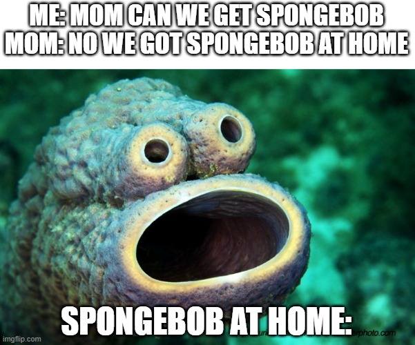 ME: MOM CAN WE GET SPONGEBOB
MOM: NO WE GOT SPONGEBOB AT HOME; SPONGEBOB AT HOME: | image tagged in realspongebob | made w/ Imgflip meme maker