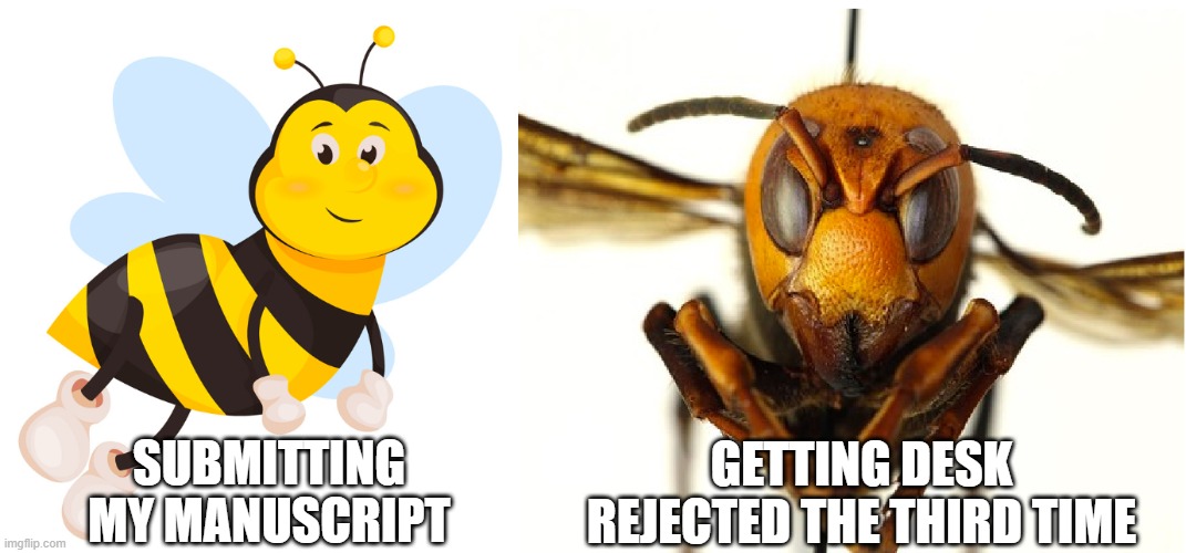Bee to Murder Hornet | SUBMITTING MY MANUSCRIPT; GETTING DESK REJECTED THE THIRD TIME | image tagged in bees,murder hornet | made w/ Imgflip meme maker