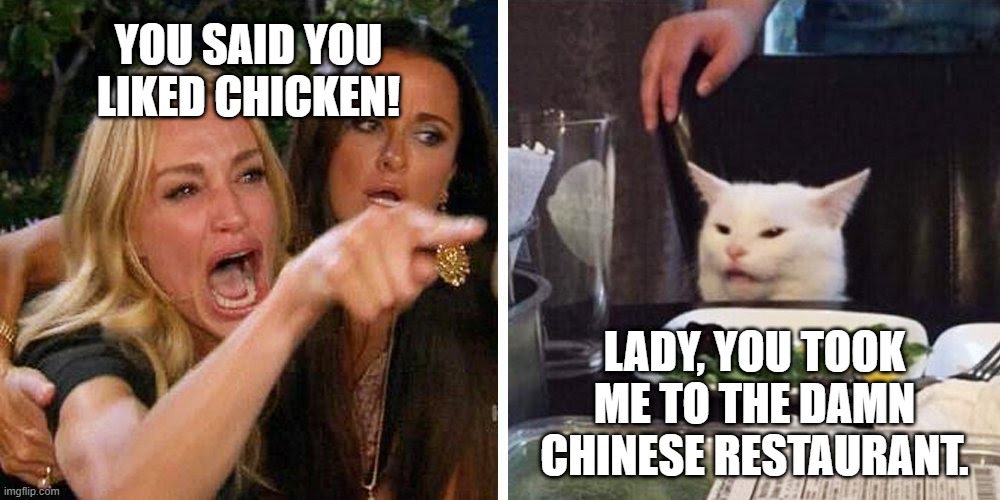 Not that type of Chinese food | YOU SAID YOU LIKED CHICKEN! LADY, YOU TOOK ME TO THE DAMN CHINESE RESTAURANT. | image tagged in smudge the cat,woman yelling at cat,woman yelling at a cat,angry woman | made w/ Imgflip meme maker