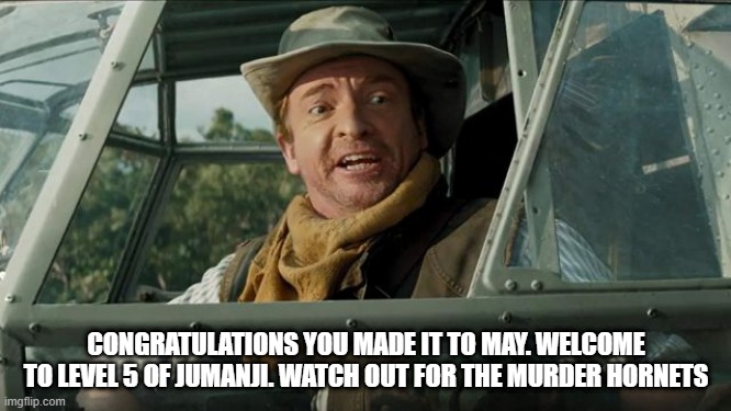 Welcome to level 5 of Jumanji Watch out for the murder hornets | CONGRATULATIONS YOU MADE IT TO MAY. WELCOME TO LEVEL 5 OF JUMANJI. WATCH OUT FOR THE MURDER HORNETS | image tagged in jumanji npc | made w/ Imgflip meme maker