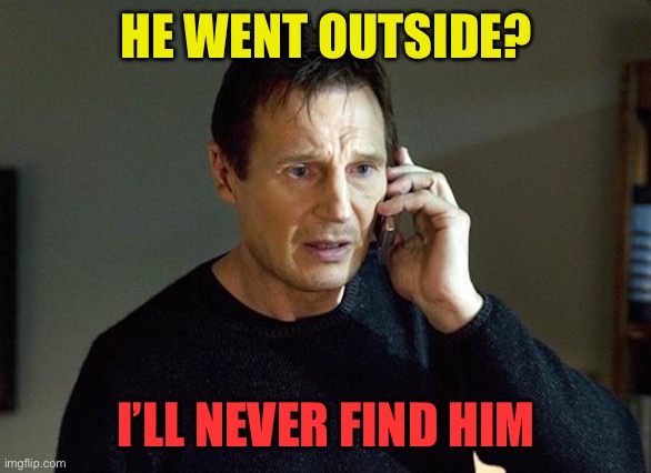 Liam Neeson Taken 2 Meme | HE WENT OUTSIDE? I’LL NEVER FIND HIM | image tagged in memes,liam neeson taken 2 | made w/ Imgflip meme maker
