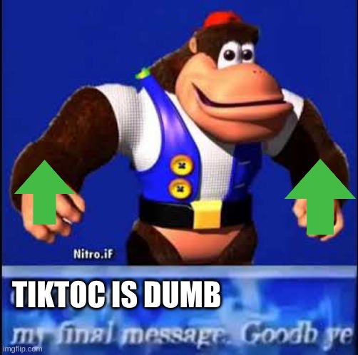 It Truly Is | TIKTOC IS DUMB | image tagged in tik tok | made w/ Imgflip meme maker