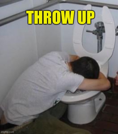 Drunk puking toilet | THROW UP | image tagged in drunk puking toilet | made w/ Imgflip meme maker
