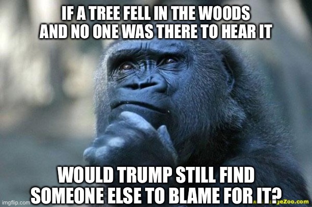 Deep Thoughts | IF A TREE FELL IN THE WOODS AND NO ONE WAS THERE TO HEAR IT; WOULD TRUMP STILL FIND SOMEONE ELSE TO BLAME FOR IT? | image tagged in deep thoughts,donald trump,trump,coronavirus,blame,blame china | made w/ Imgflip meme maker