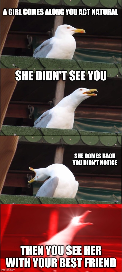 Inhaling Seagull | A GIRL COMES ALONG YOU ACT NATURAL; SHE DIDN'T SEE YOU; SHE COMES BACK YOU DIDN'T NOTICE; THEN YOU SEE HER WITH YOUR BEST FRIEND | image tagged in memes,inhaling seagull | made w/ Imgflip meme maker