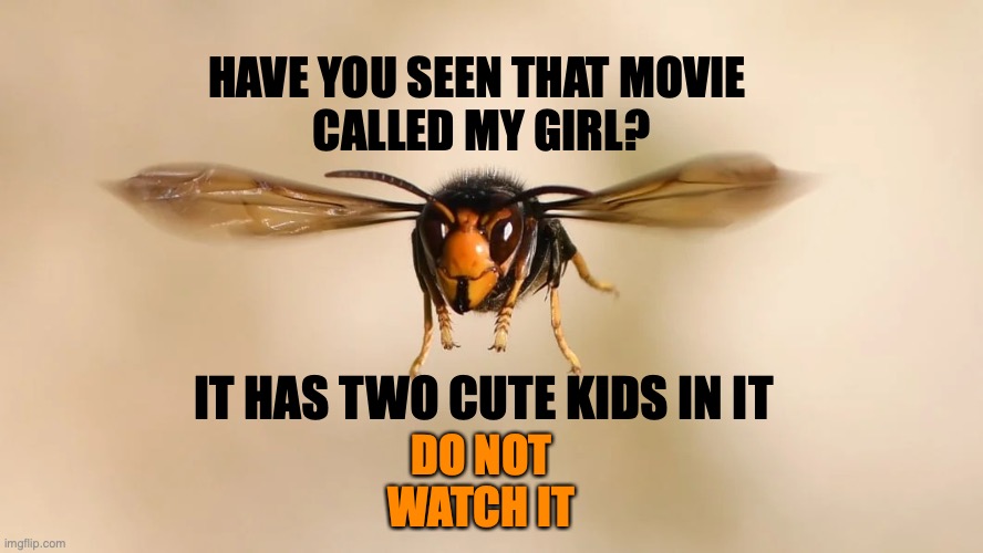 IT WILL MAKE YOU CRY | HAVE YOU SEEN THAT MOVIE 
CALLED MY GIRL? IT HAS TWO CUTE KIDS IN IT; DO NOT
WATCH IT | image tagged in murder hornet,bees,wasp,my girl,movie,2020 | made w/ Imgflip meme maker