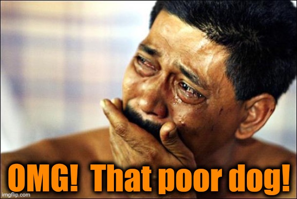 Crying | OMG!  That poor dog! | image tagged in crying | made w/ Imgflip meme maker