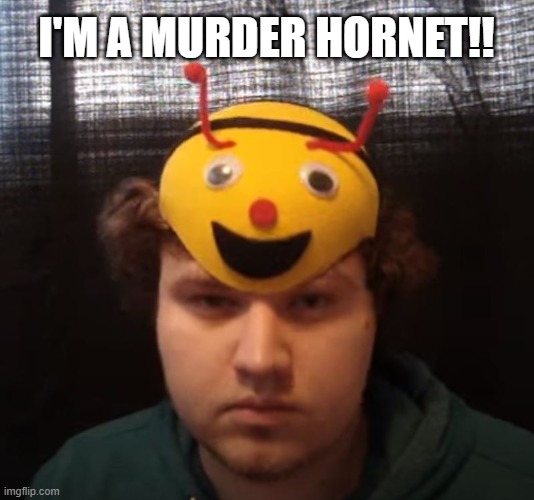 Murder Hornet Meme