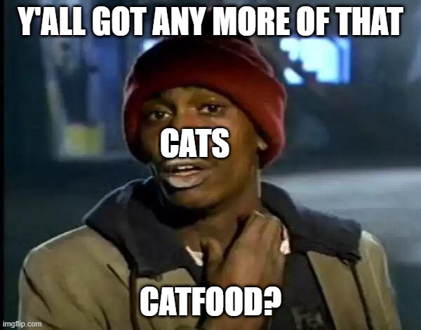 Y'all Got Any More Of That | Y'ALL GOT ANY MORE OF THAT; CATS; CATFOOD? | image tagged in memes,y'all got any more of that | made w/ Imgflip meme maker