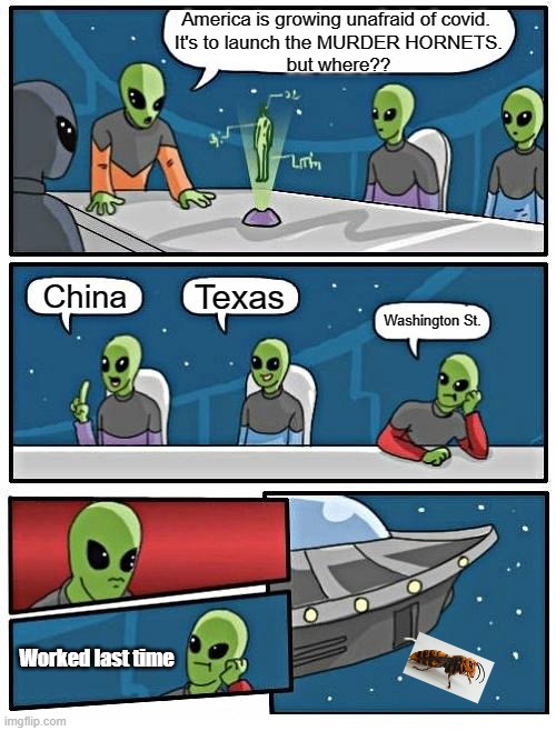 Stupid Sheeple | America is growing unafraid of covid. 
It's to launch the MURDER HORNETS.
but where?? Texas; China; Washington St. Worked last time | image tagged in memes,alien meeting suggestion,murder hornet | made w/ Imgflip meme maker