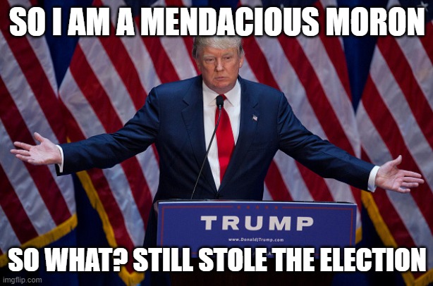 Donald Trump | SO I AM A MENDACIOUS MORON SO WHAT? STILL STOLE THE ELECTION | image tagged in donald trump | made w/ Imgflip meme maker