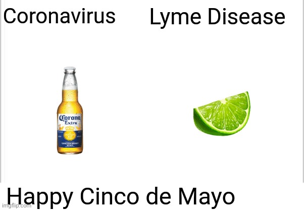 white background | Coronavirus; Lyme Disease; Happy Cinco de Mayo | image tagged in white background | made w/ Imgflip meme maker