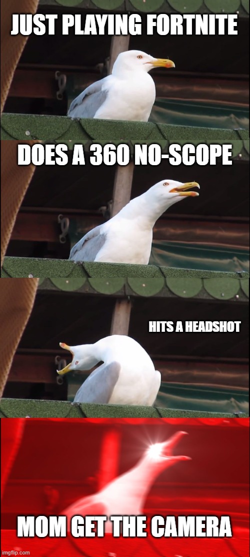 Inhaling Seagull Meme | JUST PLAYING FORTNITE; DOES A 360 NO-SCOPE; HITS A HEADSHOT; MOM GET THE CAMERA | image tagged in memes,inhaling seagull | made w/ Imgflip meme maker