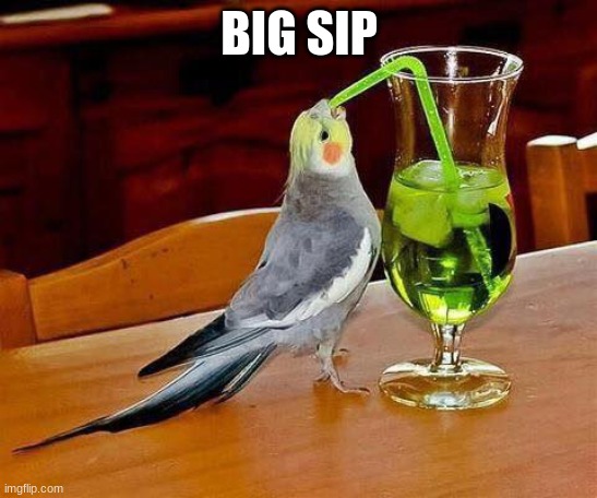 Big Sip | BIG SIP | image tagged in big sip | made w/ Imgflip meme maker