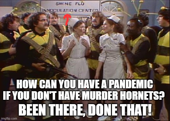 Been there, Done that! | HOW CAN YOU HAVE A PANDEMIC
IF YOU DON'T HAVE MURDER HORNETS? BEEN THERE, DONE THAT! | image tagged in murder hornet,snl,meme,pandemic | made w/ Imgflip meme maker