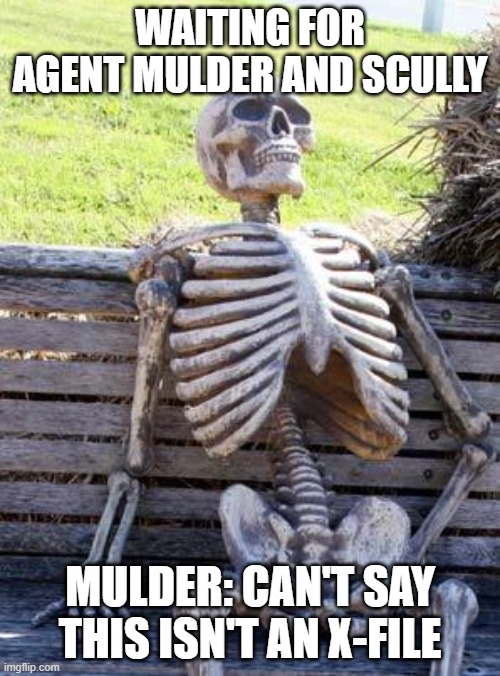 THE SKELETON WAITS FOR MULDER... | WAITING FOR AGENT MULDER AND SCULLY; MULDER: CAN'T SAY THIS ISN'T AN X-FILE | image tagged in memes,waiting skeleton | made w/ Imgflip meme maker