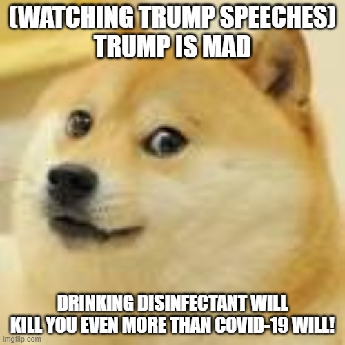 (WATCHING TRUMP SPEECHES)
TRUMP IS MAD; DRINKING DISINFECTANT WILL KILL YOU EVEN MORE THAN COVID-19 WILL! | image tagged in donald trump,trump,coronavirus,covid-19 | made w/ Imgflip meme maker