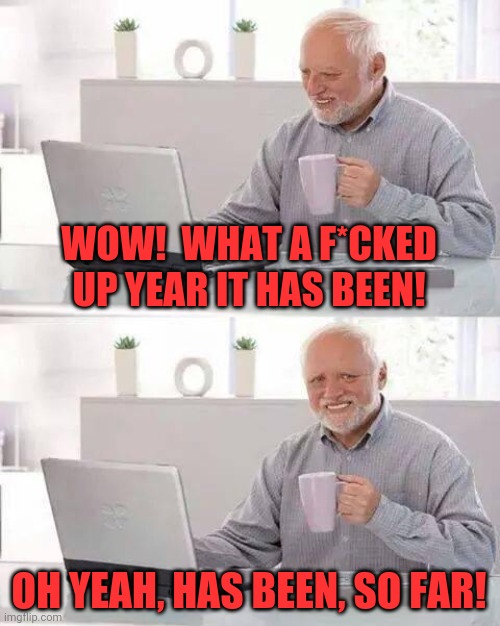 Hide the Pain Harold | WOW!  WHAT A F*CKED UP YEAR IT HAS BEEN! OH YEAH, HAS BEEN, SO FAR! | image tagged in memes,hide the pain harold | made w/ Imgflip meme maker
