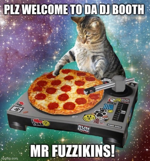 Meow meow meow | image tagged in cats,dj,pizza | made w/ Imgflip meme maker