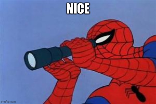 Spiderman binoculars | NICE | image tagged in spiderman binoculars | made w/ Imgflip meme maker
