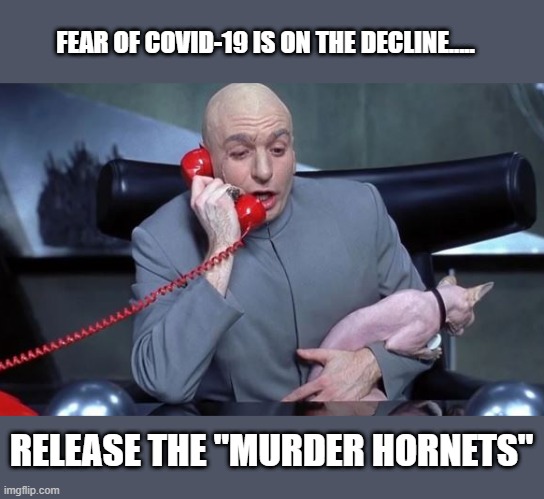 FEAR OF COVID-19 IS ON THE DECLINE..... RELEASE THE "MURDER HORNETS" | image tagged in covid-19,murder hornets | made w/ Imgflip meme maker