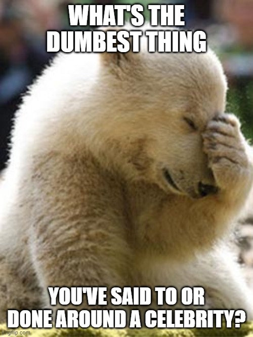 Facepalm Bear | WHAT'S THE DUMBEST THING; YOU'VE SAID TO OR DONE AROUND A CELEBRITY? | image tagged in memes,facepalm bear | made w/ Imgflip meme maker