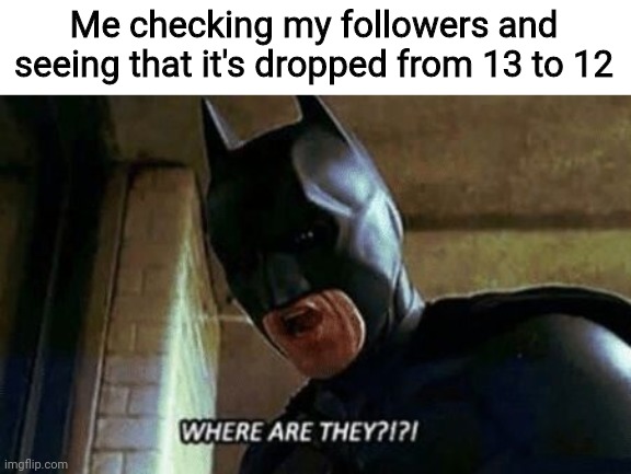 What did I do to lose a follower? | Me checking my followers and seeing that it's dropped from 13 to 12 | image tagged in batman where are they 12345,followers,memes,imgflip,but why tho | made w/ Imgflip meme maker