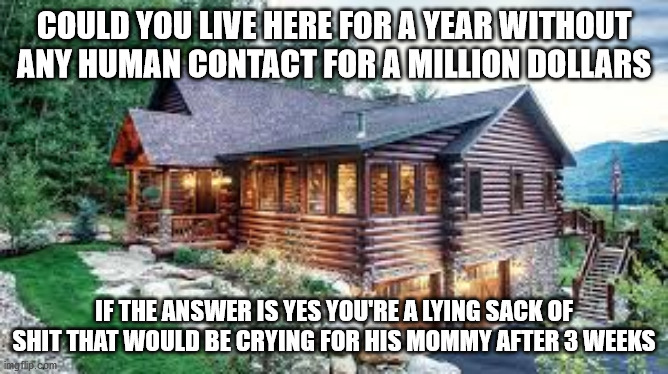 COULD YOU LIVE HERE FOR A YEAR WITHOUT ANY HUMAN CONTACT FOR A MILLION DOLLARS; IF THE ANSWER IS YES YOU'RE A LYING SACK OF SHIT THAT WOULD BE CRYING FOR HIS MOMMY AFTER 3 WEEKS | image tagged in cabin,woods | made w/ Imgflip meme maker