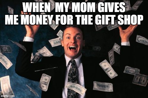 Money Man | WHEN  MY MOM GIVES ME MONEY FOR THE GIFT SHOP | image tagged in memes,money man | made w/ Imgflip meme maker