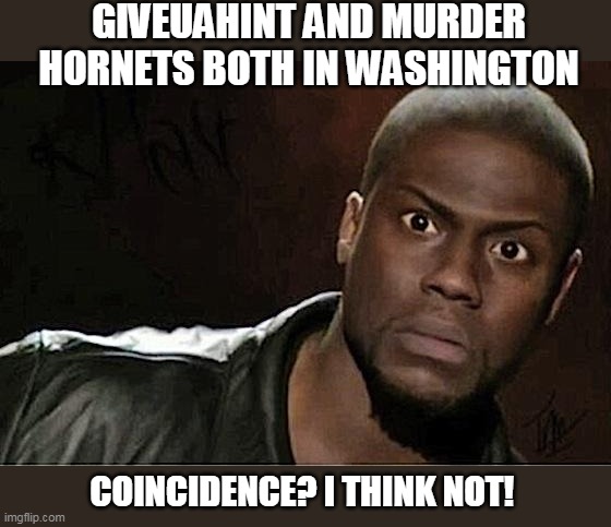 Never seen them at the same time either! | GIVEUAHINT AND MURDER HORNETS BOTH IN WASHINGTON; COINCIDENCE? I THINK NOT! | image tagged in memes,kevin hart,giveuahint,just a joke,miss you | made w/ Imgflip meme maker
