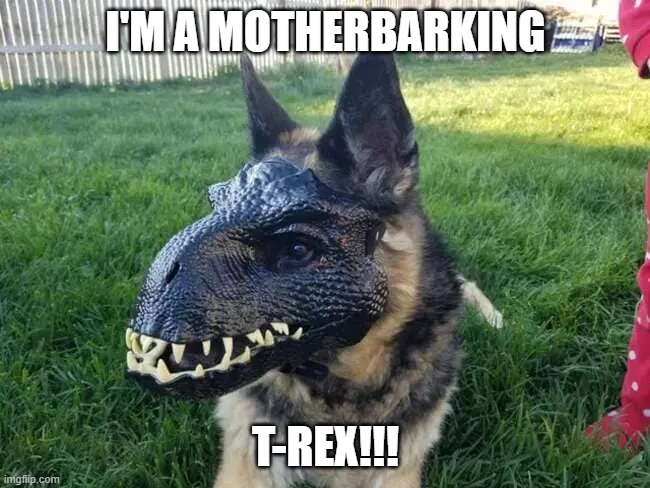 I'M A MOTHERBARKING; T-REX!!! | made w/ Imgflip meme maker