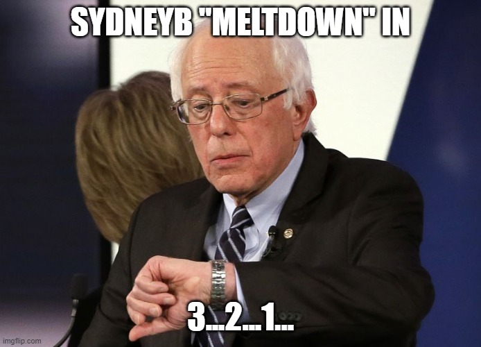 Bernie Look At The Time | SYDNEYB "MELTDOWN" IN 3...2...1... | image tagged in bernie look at the time | made w/ Imgflip meme maker