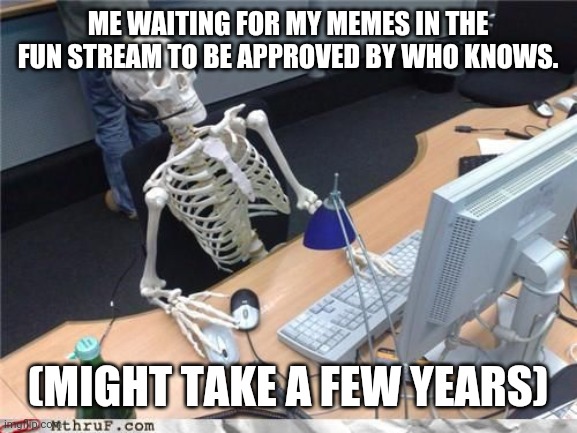 Skeleton Computer | ME WAITING FOR MY MEMES IN THE FUN STREAM TO BE APPROVED BY WHO KNOWS. (MIGHT TAKE A FEW YEARS) | image tagged in skeleton computer | made w/ Imgflip meme maker