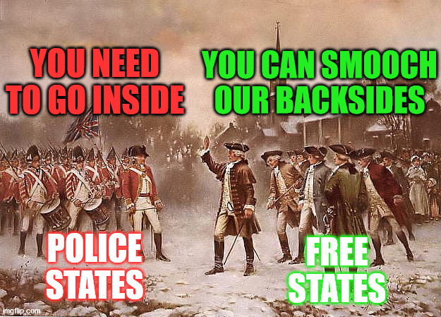 Like normal, there are still 2 Americas. | YOU NEED TO GO INSIDE; YOU CAN SMOOCH OUR BACKSIDES; FREE
STATES; POLICE
STATES | image tagged in redcoats vs patriots,freedom,police | made w/ Imgflip meme maker