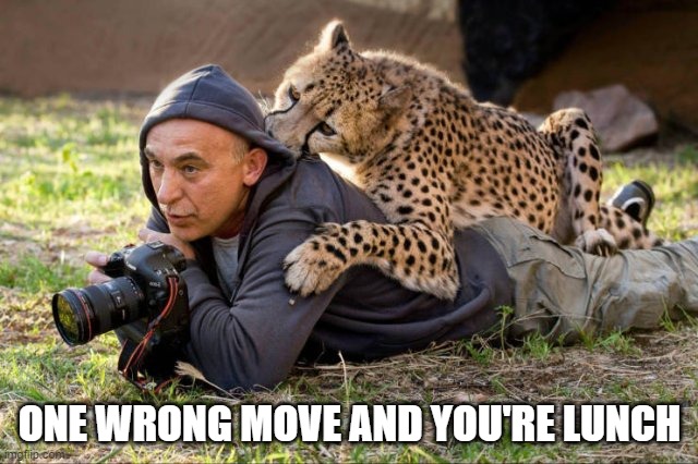 ONE WRONG MOVE AND YOU'RE LUNCH | made w/ Imgflip meme maker