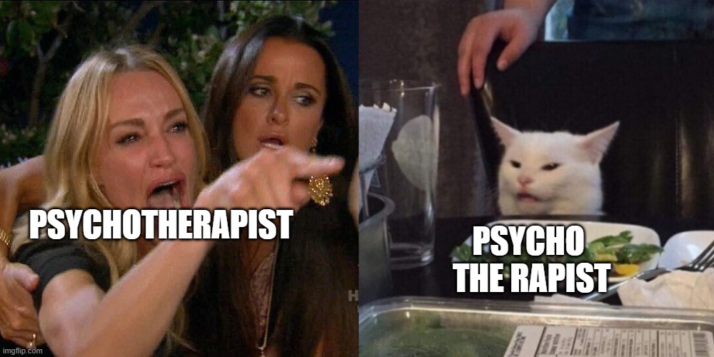 When your depressed ass gets pulled off to cure depression | PSYCHO 
THE RAPIST; PSYCHOTHERAPIST | image tagged in woman yelling at cat | made w/ Imgflip meme maker