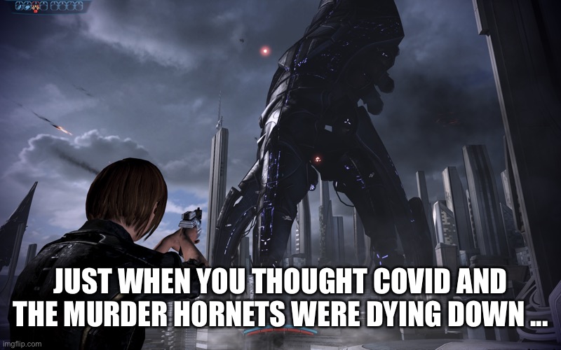 2020 - it gets worse | JUST WHEN YOU THOUGHT COVID AND THE MURDER HORNETS WERE DYING DOWN ... | image tagged in mass effect,covid-19,murder hornets | made w/ Imgflip meme maker