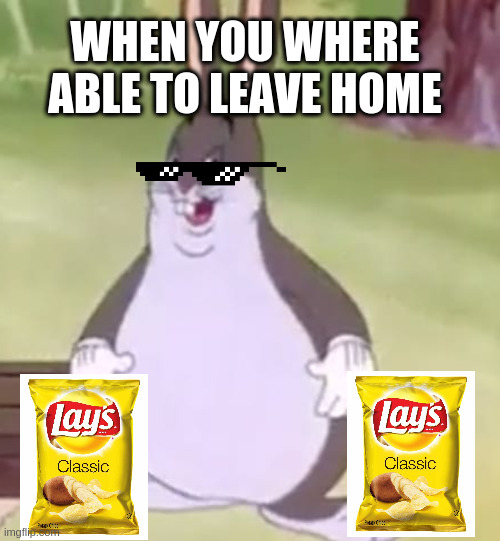 Big Chungus | WHEN YOU WHERE ABLE TO LEAVE HOME | image tagged in big chungus | made w/ Imgflip meme maker